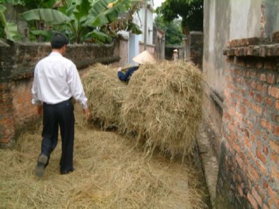 TRANSPORTE HENO  LEADOR BOSQUE